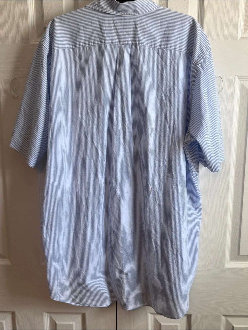 Polo by Ralph Lauren Blue & White Pinstripe Short-Sleeve Button-Down Shirt